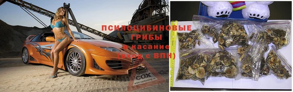 ALPHA-PVP Нефтекумск